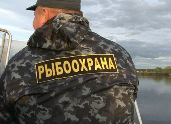 Инспекторы рыбоохраны, лесоохраны и охотнадзора могут получить перекрестные полномочия