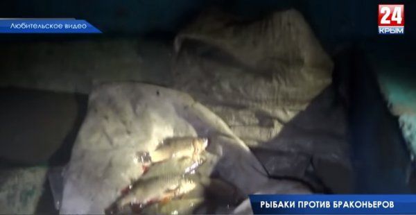 Антибраконьерский рейд Федерации рыболовного спорта Республики Крым