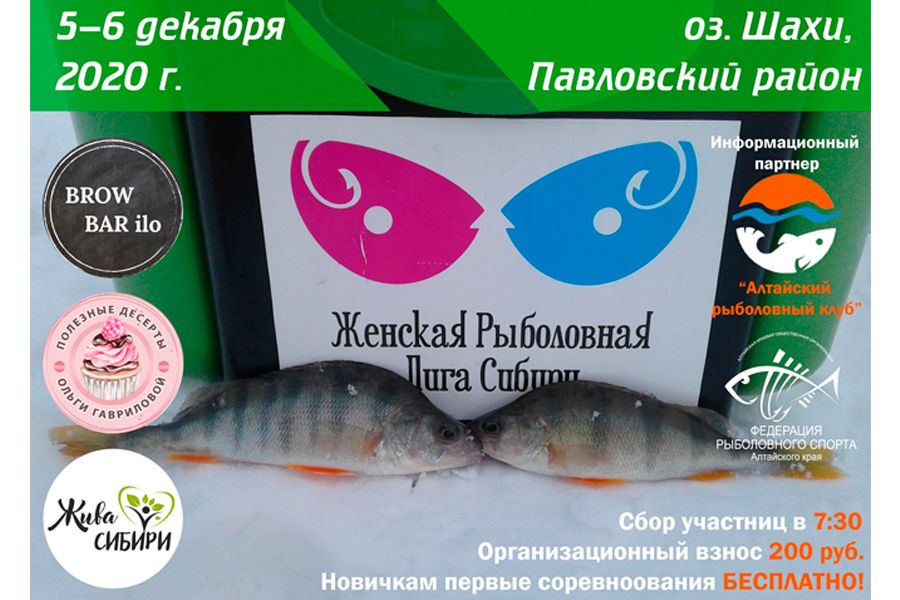 Краевые соревнования по ловле на мормышку со льда среди женщин 5-6 декабря 2020 года, Алтайский край, Павловский район, пруд с. Шахи