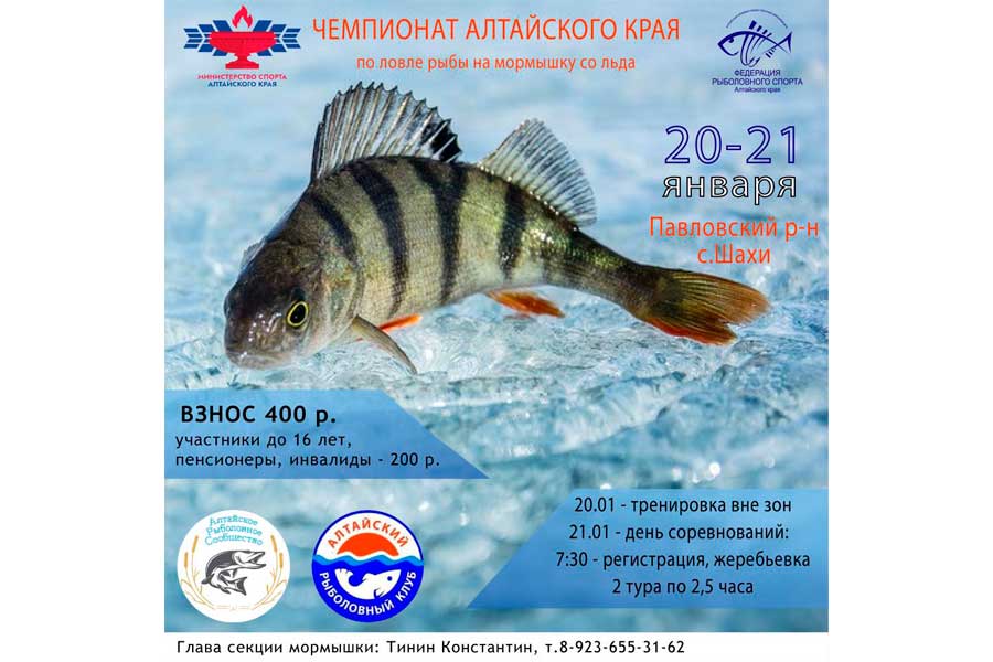 Чемпионат Алтайского края по ловле на мормышку со льда 21 января 2024 г., Алтайский край, Павловский район, с. Шахи