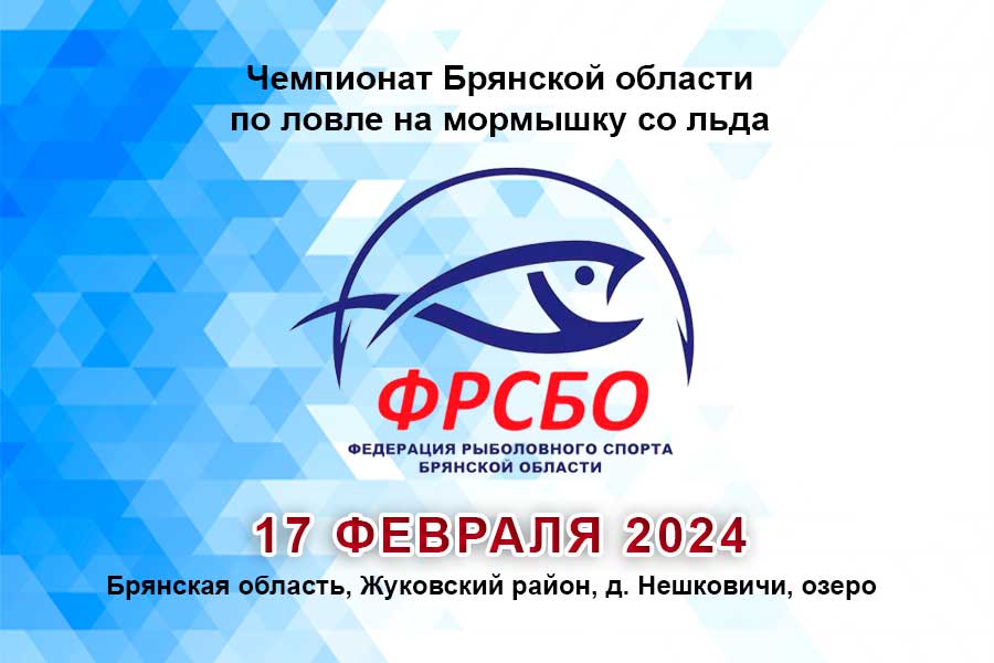 Чемпионат Брянской области по ловле на мормышку со льда 17 февраля 2024 г., Брянская область, д. Нешковичи, озеро