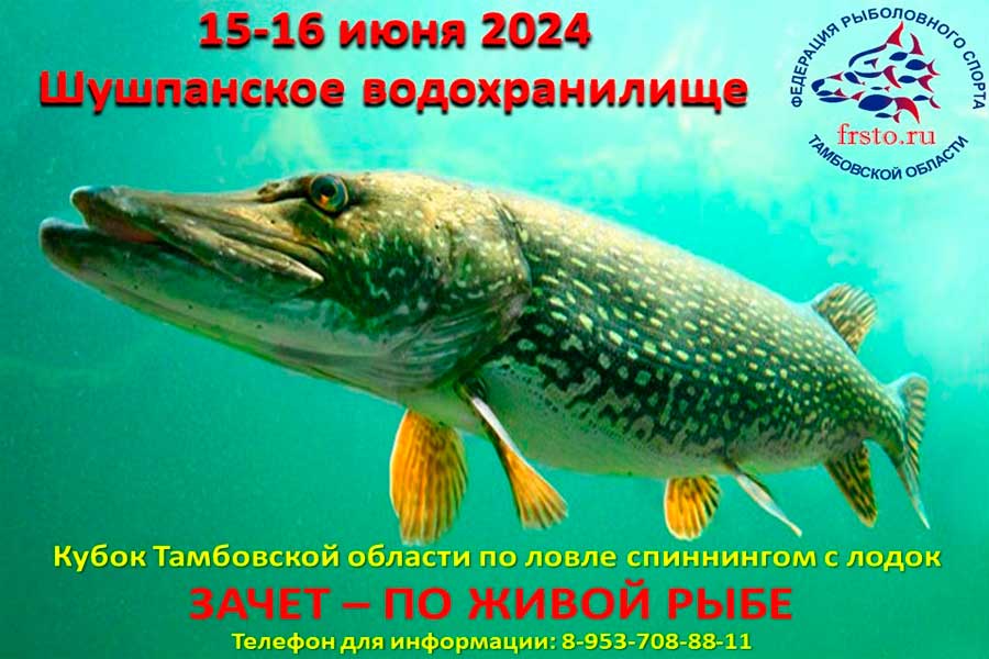 Кубок Тамбовской области по ловле спиннингом с лодок 15-16 июня 2024 г., Тамбовская область, Шушпанское водохранилище