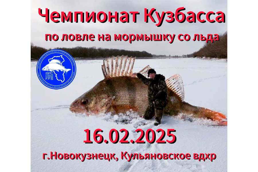 Чемпионат Кузбасса по ловле на мормышку со льда 16 февраля 2025 г., Кемеровская область, г. Новокузнецк, Кульяновское водохранилище