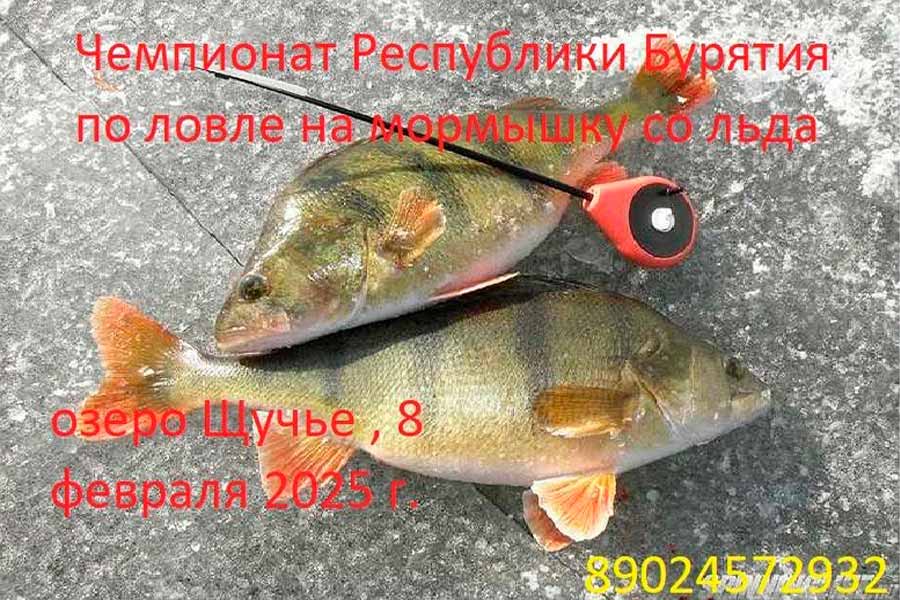 Чемпионат Республики Бурятия по ловле на мормышку со льда 8 февраля 2025 г., Республика Бурятия, Селенгинский район, оз. Щучье