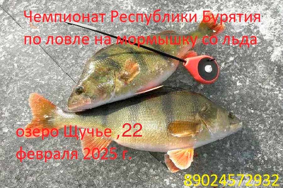 Чемпионат Республики Бурятия по ловле на мормышку со льда 22 февраля 2025 г., Республика Бурятия, Селенгинский район, оз. Щучье