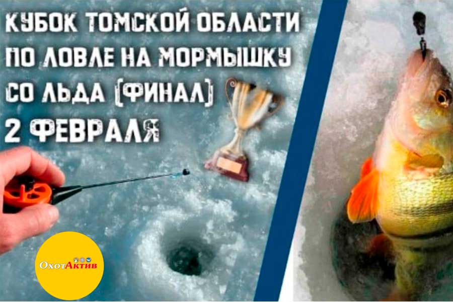 Кубок Томской области по ловле на мормышку со льда 2 февраля 2025 г., Томская область, Шегарский район, оз. Родниковое