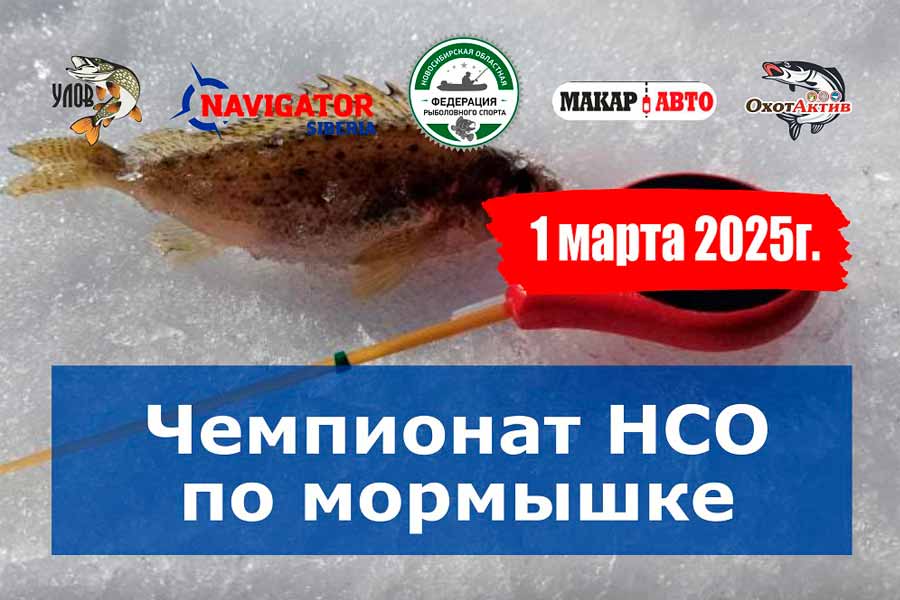 Чемпионат Новосибирской области по ловле на мормышку со льда 1 марта 2025 г., Новосибирская область, с. Барлак, пруд
