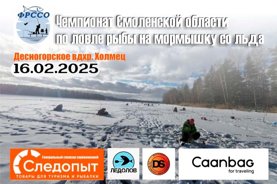 Чемпионат Смоленской области по ловле на мормышку со льда 16 февраля 2025 г., Смоленская область, Холмец, Десногорское водохранилище