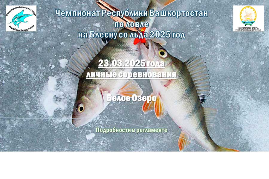 Чемпионат Республики Башкортостан по ловле на блесну со льда 23 марта 2025 г., Республика Башкортостан, Гафурийский район, водоем Белое озеро