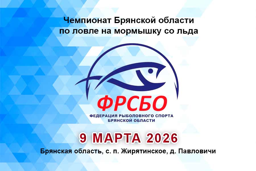 Чемпионат Брянской области по ловле на мормышку со льда 9 марта 2026 г., Брянская область, Жирятинское СП, д. Павловичи, озеро