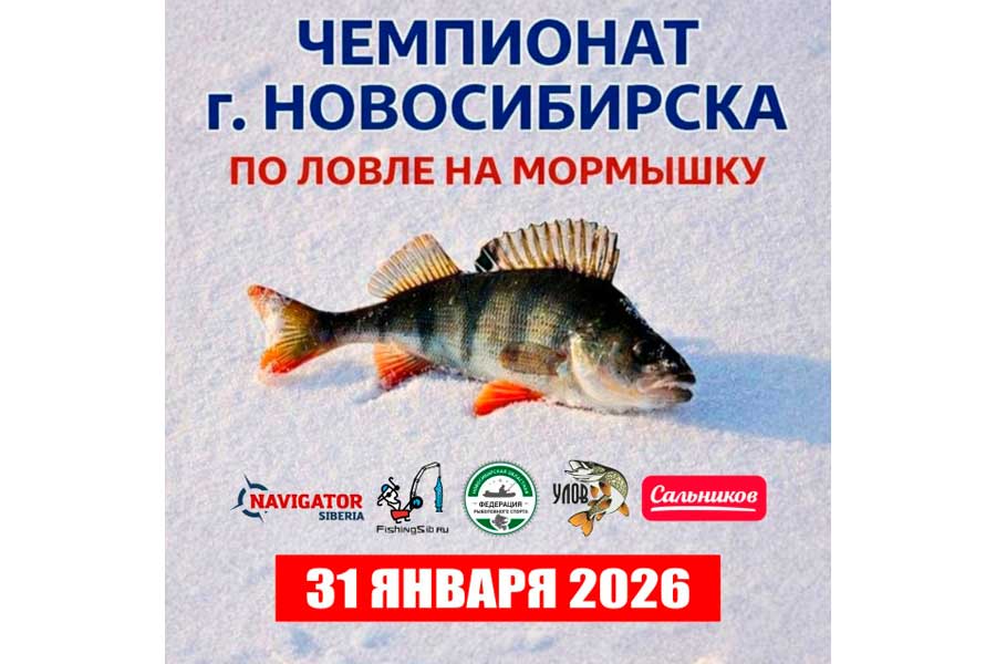 Чемпионат города Новосибирска по ловле на мормышку со льда 31 января 2026 г., Новосибирская область, с. Смоленский, пруд