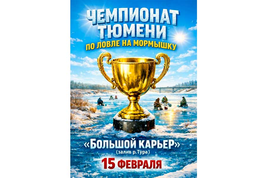 Чемпионат города Тюмени по ловле на мормышку со льда 15 февраля 2026 г., Тюменская область, р. Тура, залив