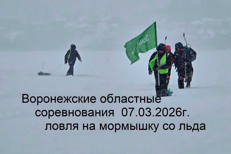 Областные соревнования Воронежской области по ловле на мормышку со льда 7 марта 2026 г., Воронежская область, г. Воронеж, Воронежское водохранилище