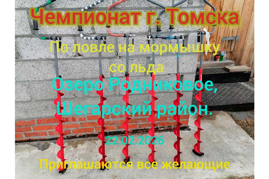 Чемпионат города Томска по ловле на мормышку со льда 22 февраля 2026 г., Томская область, Шегарский район, оз. Родниковое